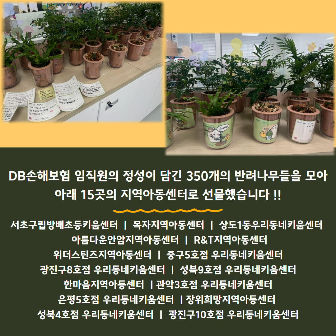 DB손해보험 임직원의 정성으로 키운 350개의 반려식물들을 지역아동센터 15곳으로 선물했습니다.