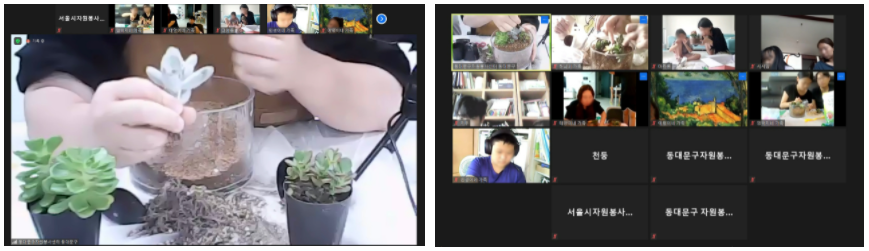 테라리움 만들기 진행사진