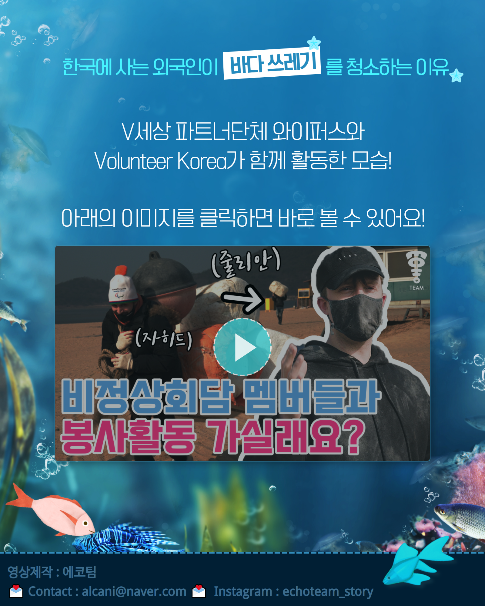 한국에 사는 외국인들이 바다쓰레기를 청소하는 이유가 궁금하다면 이미지를 클릭해주세요! 활동모습을 담은 영상을 볼 수 있습니다!